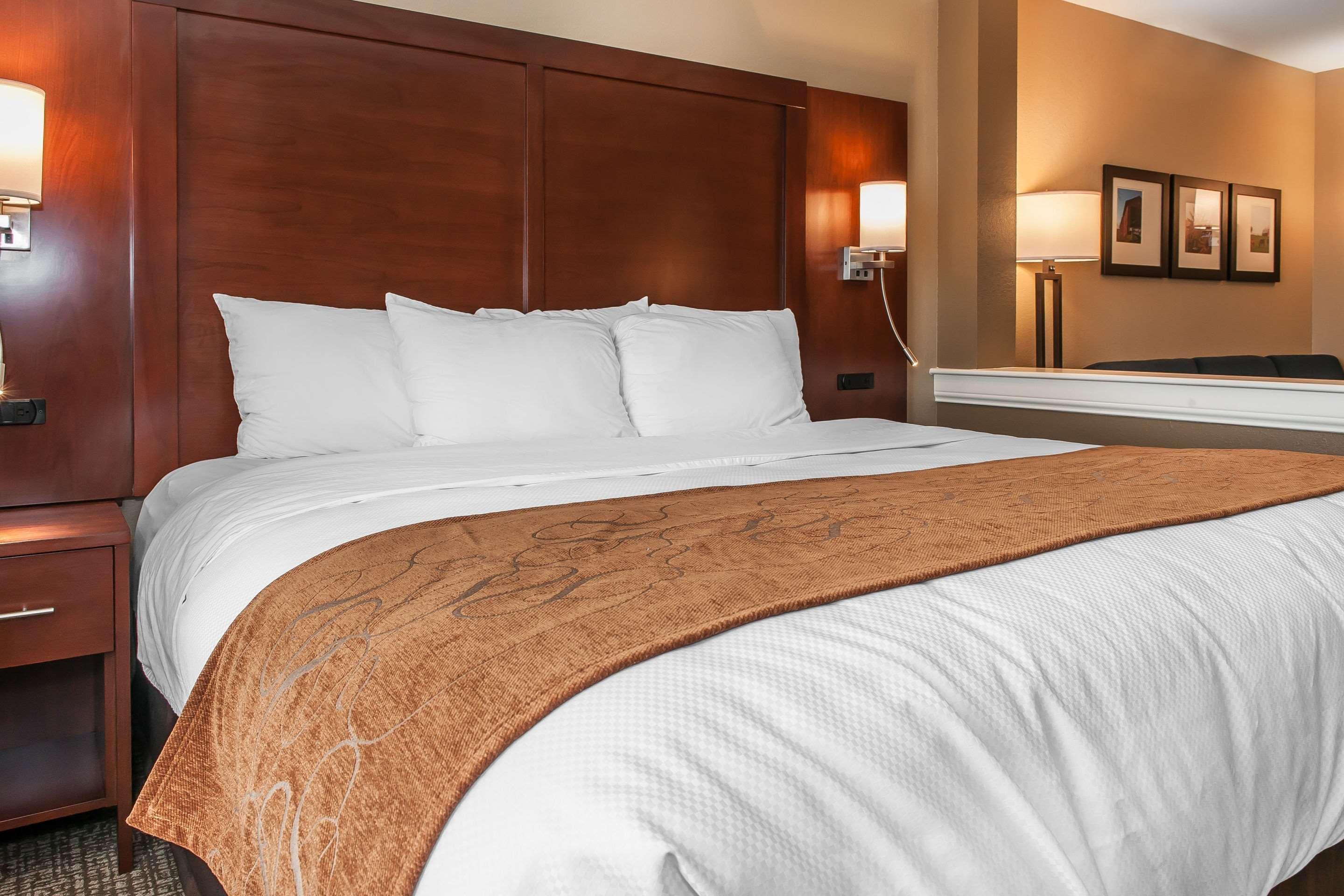 Comfort Suites Rensselaer Near Fair Oaks Luaran gambar